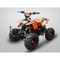 Moto Utility Quads 50cc Mini ATV for Fun (MDL GA002-5)